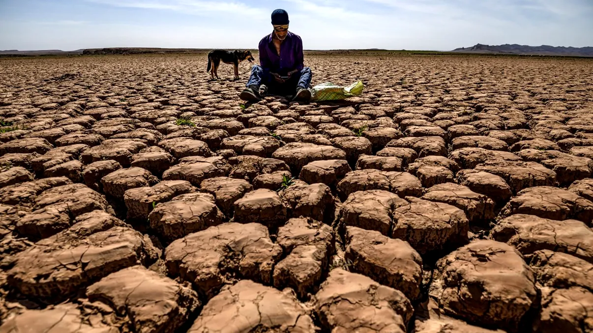 Meteorologii avertizează: Fenomenul El Niño se formează din nou și ar putea lovi planeta anul acesta
