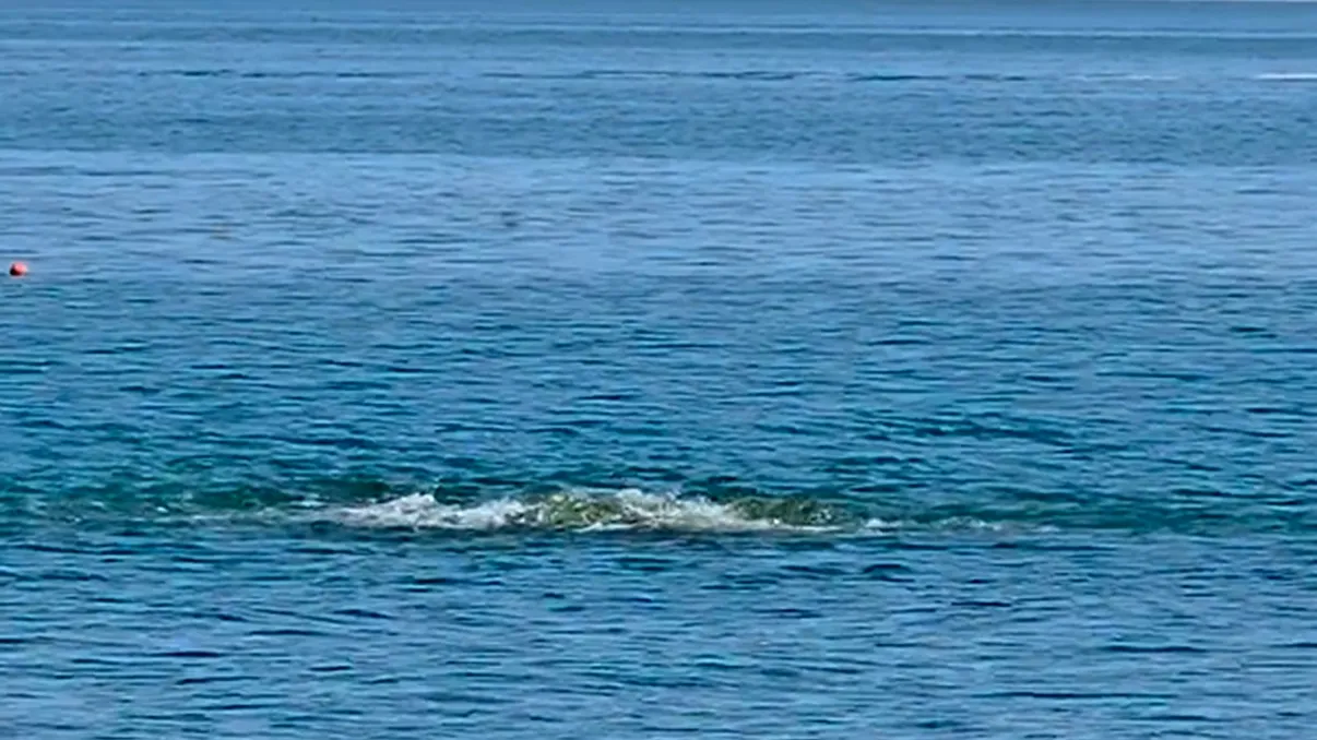 Fenomenul ciudat observat de turişti în Marea Neagră. 
