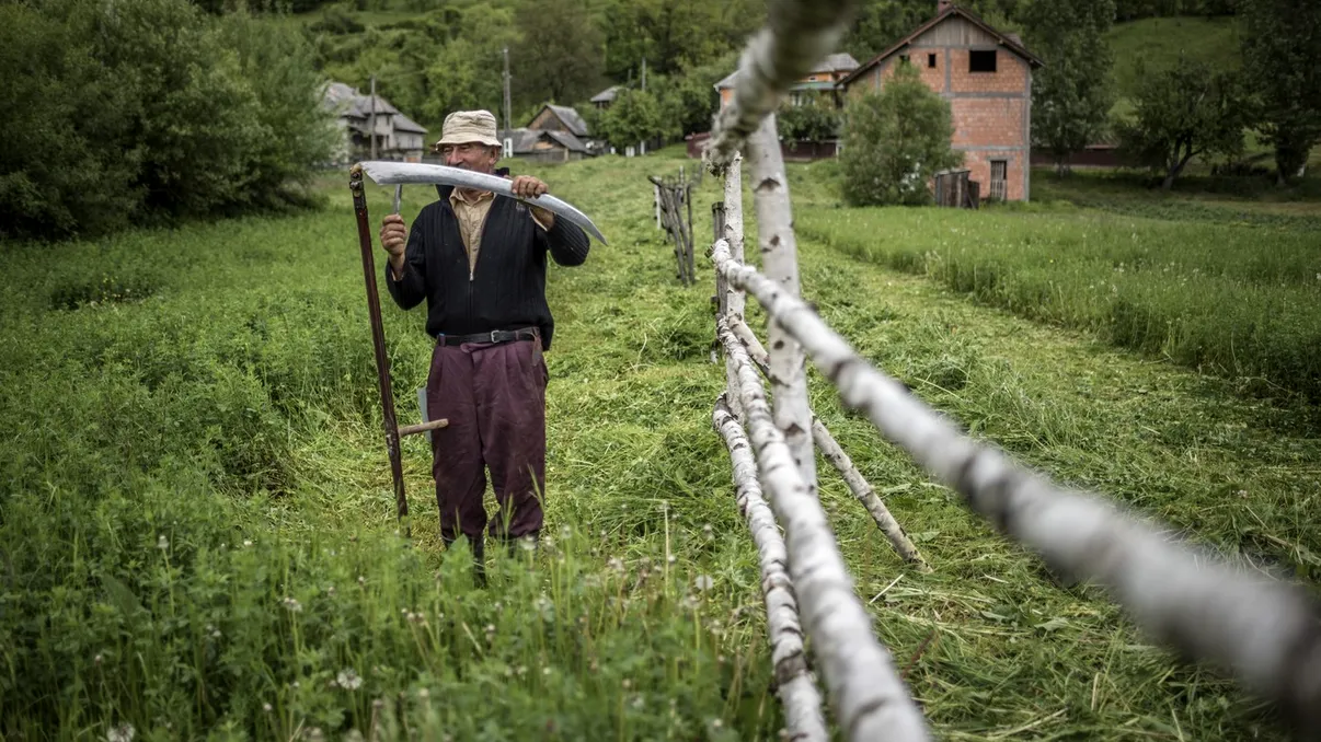 Platforma care îi duce pe turiști direct în gospodăriile de la sat. Gazdele pot câștiga bani legal, ce este programul „Viața la țară”