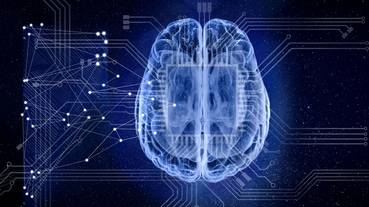 O descoperire despre creier ar putea schimba viitorul inteligenței artificiale. Deciziile se formează mai devreme decât credeau cercetătorii
