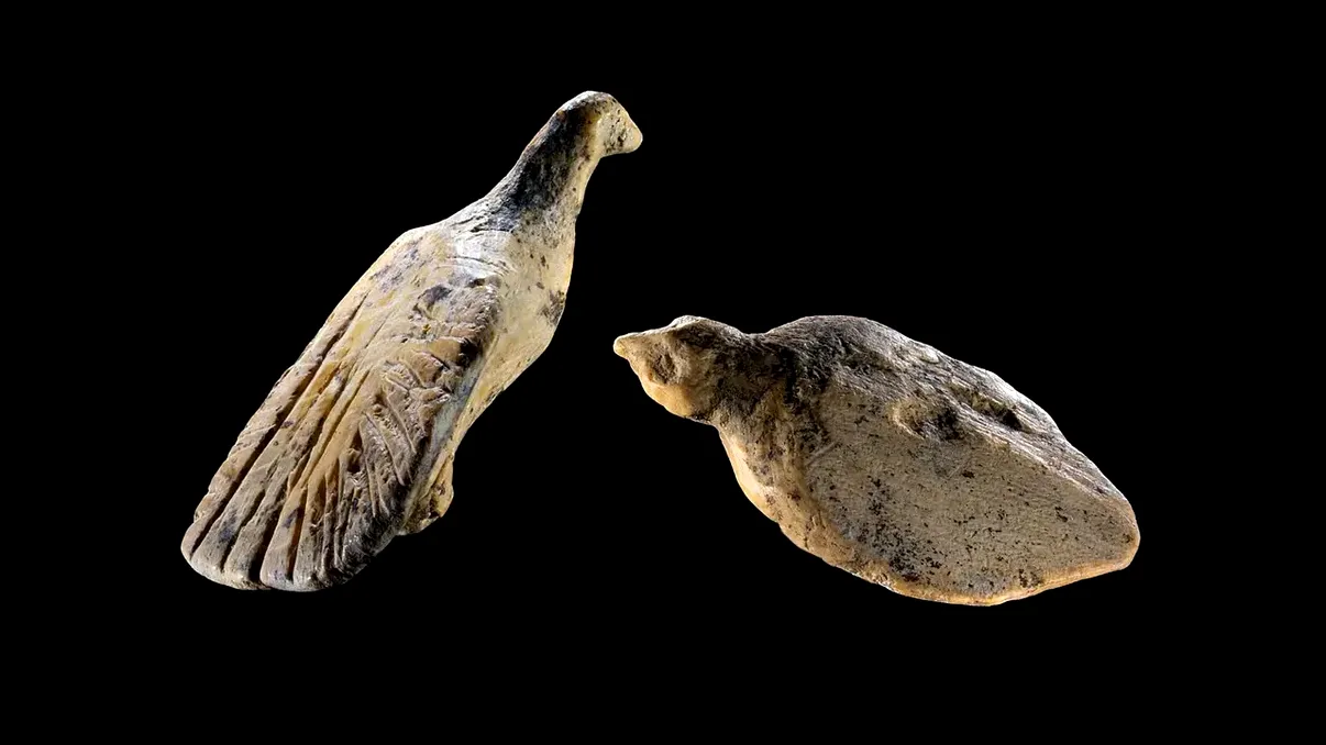 Păsările de fildeș care au supraviețuit 40.000 de ani. Figurinele cât o unghie descoperite într-o peșteră din Germania