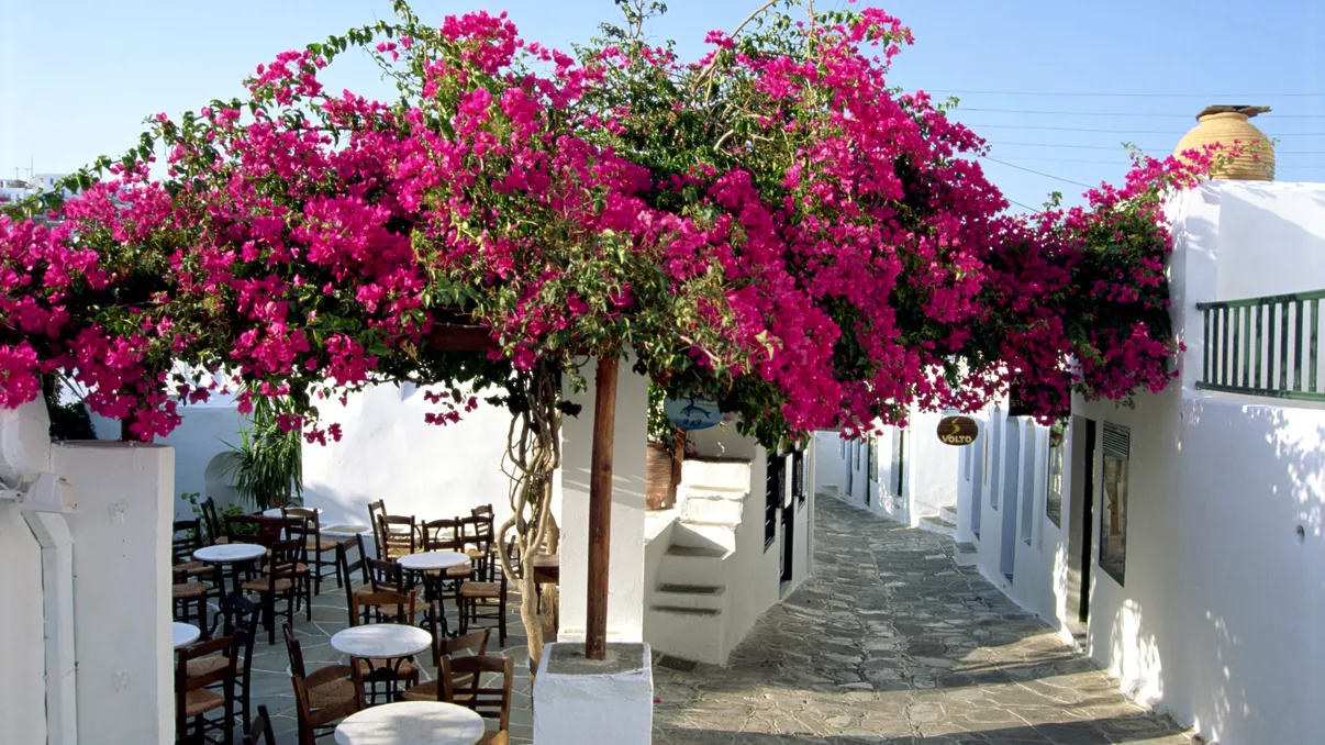 Insula din Grecia cu plaje spectaculoase și mâncare ieftină. Aici poți găsi preparate delicioase la doar 3 euro