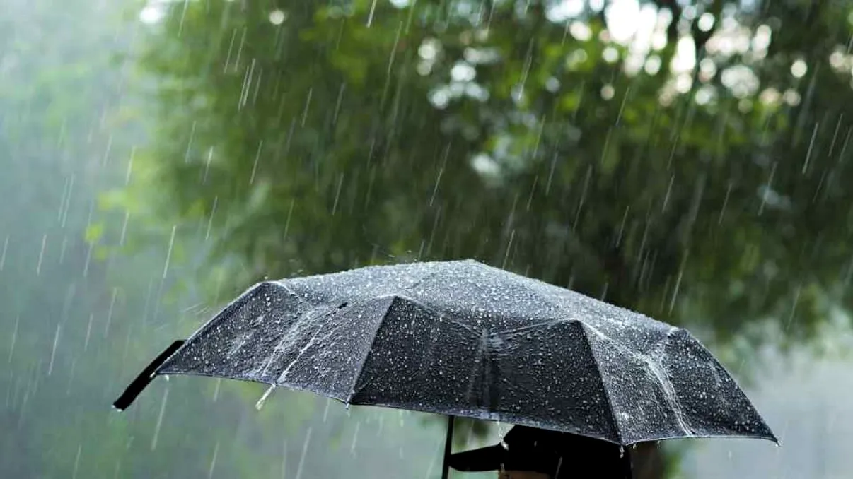 Alertă meteo în România. Vânt puternic până miercuri, iar șapte județe intră sub Cod galben