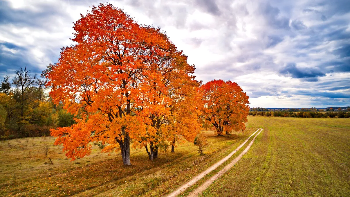 Toamna se lasă aşteptată. ANM anunţă temperaturi ridicate şi în luna septembrie, când încep ploile