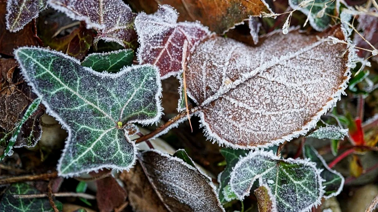 Valul de aer polar ajunge în România. Zonele în care scad temperaturile în următoarele ore