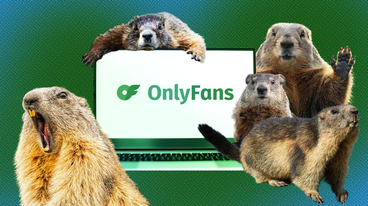 Cercetătorii au ajuns pe OnlyFans ca să salveze un studiu de 60 de ani. Acum, o criptomonedă cu marmote le-a adus peste 100.000 de dolari