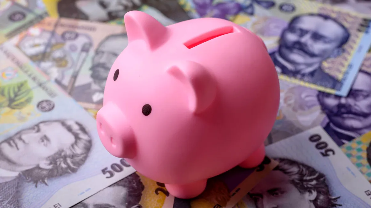 Câți bani intră lunar într-o gospodărie din România. Salariile aduc peste două treimi din veniturile unei familii