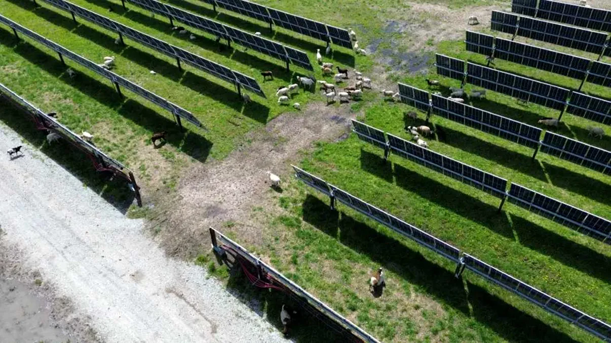 Parcurile eoliene și solare scad prețul caselor? Un studiu de 20 de ani oferă un răspuns surprinzător