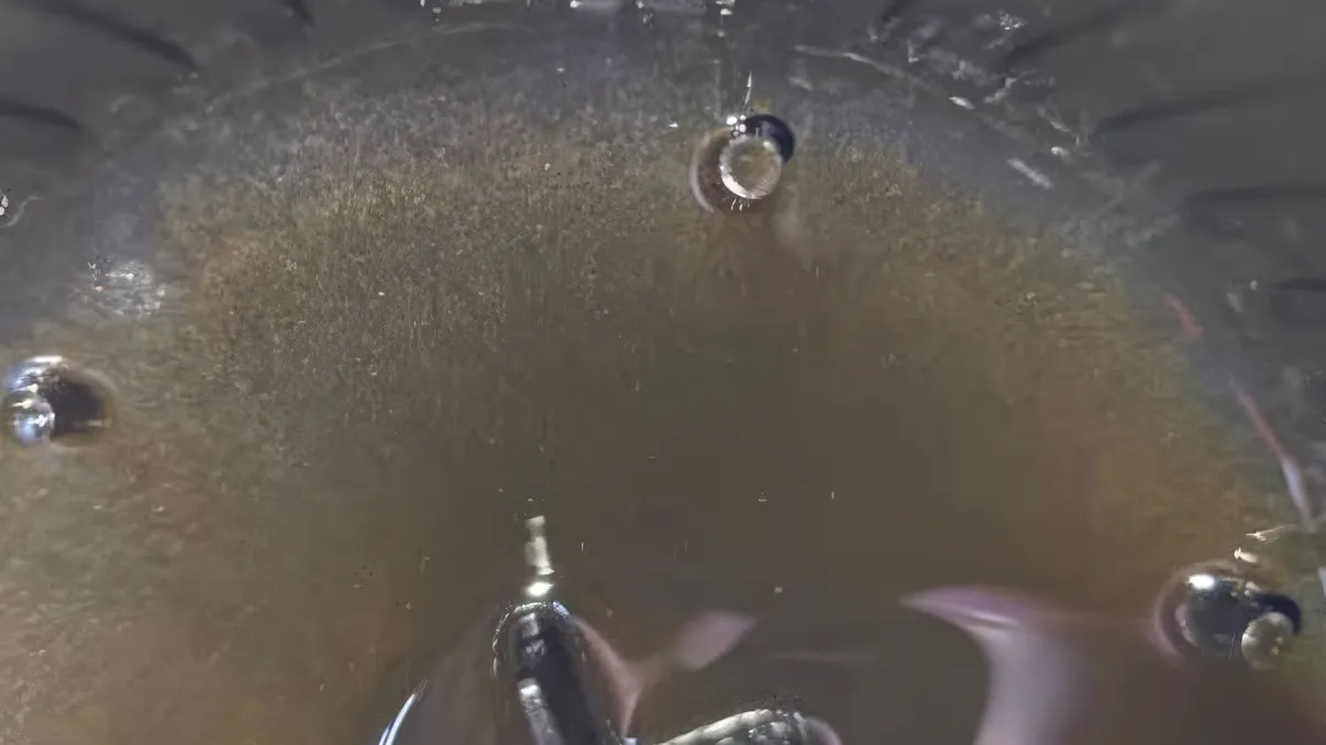 Pilitură metalică în sistemul de injecție diesel: semnele unei pompe de înaltă presiune pe cale să cedeze