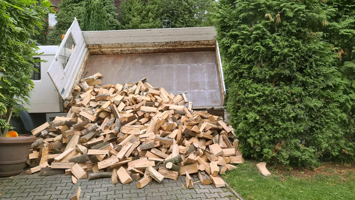 Cât au ajuns să coste lemnele de foc înainte de sezonul rece. Românii au început deja să-și facă provizii