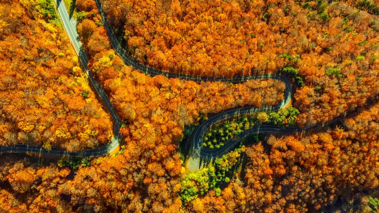 „Tunelurile” aurii ale României. Drumurile spectaculoase pe care merită să le parcurgi în octombrie
