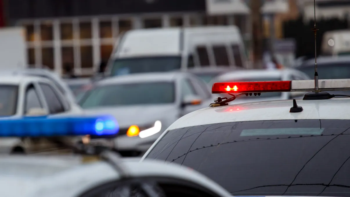 Un nou caz de violență într-o școală din România. Un elev a fost atacat cu o macetă la un colegiu din Pitești