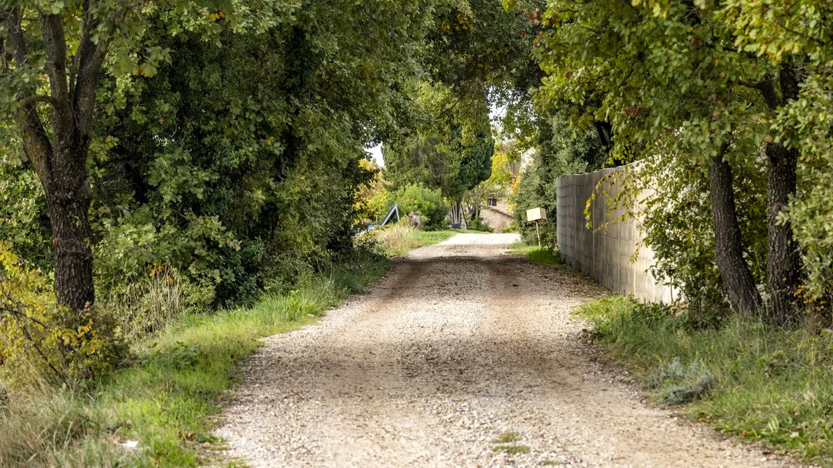 A găsit o piatră verde fluorescentă pe un drum izolat de ţară și a dus-o acasă. Ce era, de fapt. Explicaţia fenomenului
