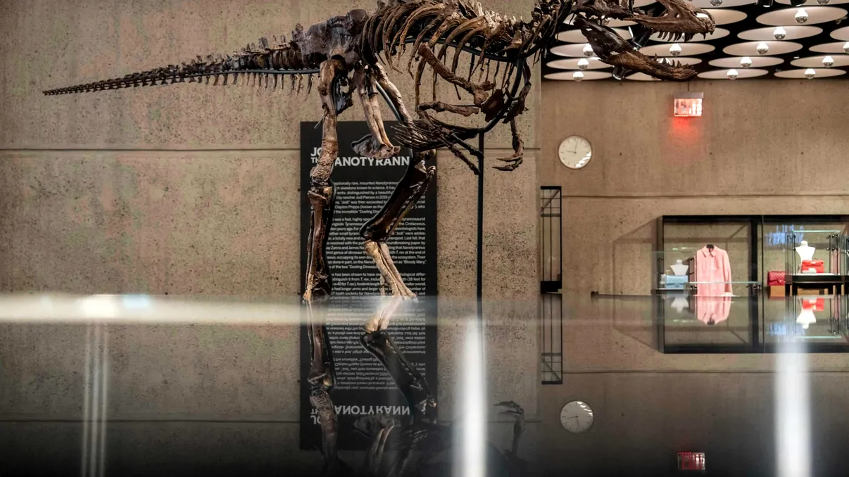 Un schelet rar de dinozaur s-a vândut cu 47,3 milioane de dolari. De ce contestă cercetătorii licitația