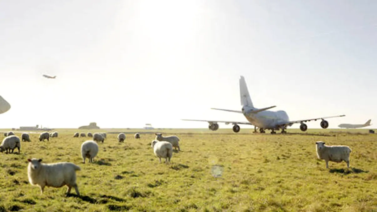 Primarul din România care visează să facă aeroport în comună