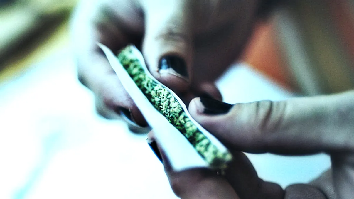 „Drogul marijuana” face minuni: aceasta e noua revoluție medicală