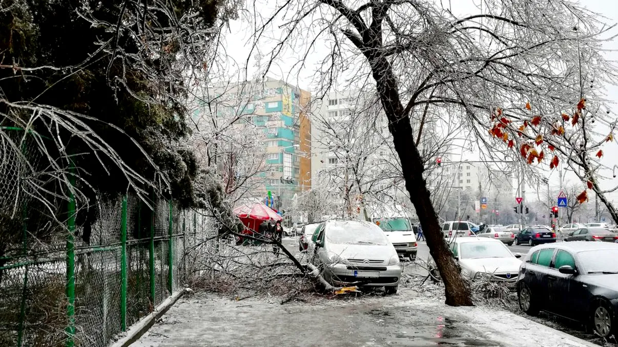 Cum iei despăgubiri de la stat dacă mașina ta a fost distrusă de copacii înghețați