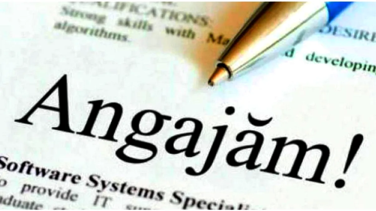 Mii de locuri de muncă în România. Iată domeniile unde se caută urgent angajați