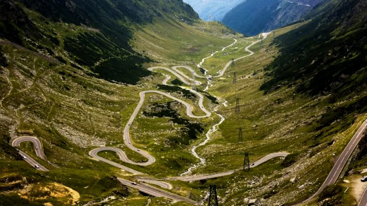 Atenție mare dacă mergi vara asta pe Transfăgărășan. Au fost semnalate Vipere!