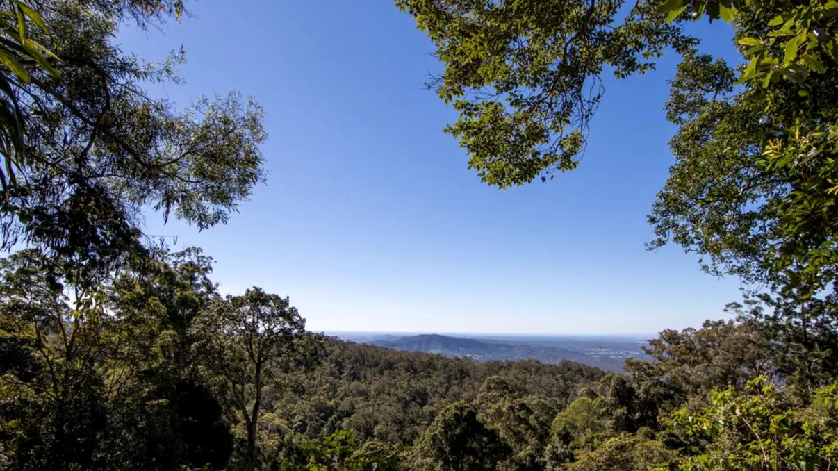 A rezistat două zile în pădure, cu piciorul rupt: ce l-a motivat să meargă mai departe