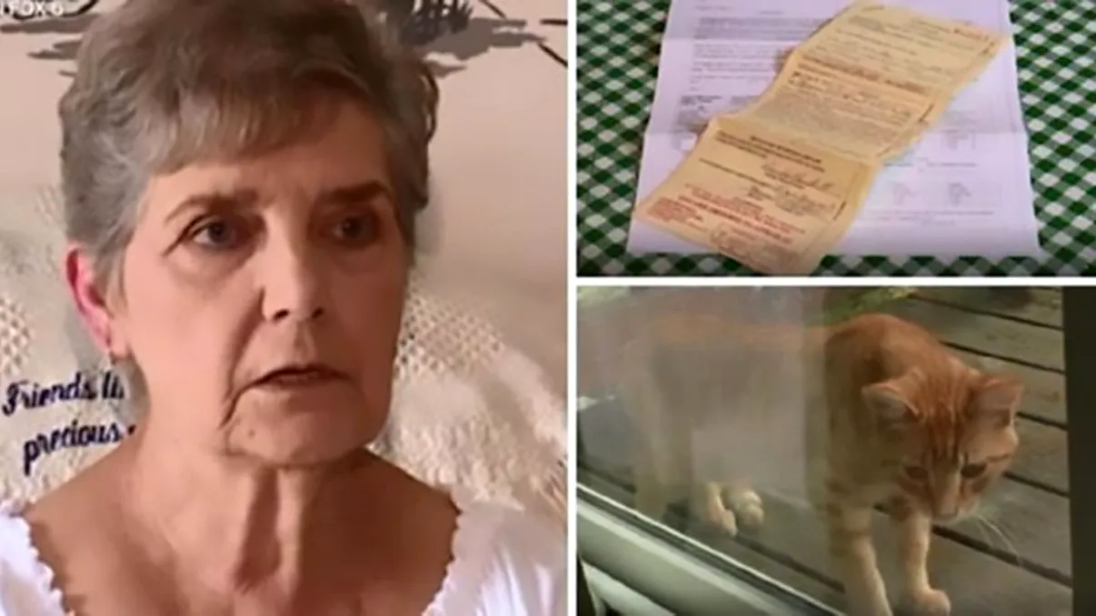 Ajunsă după gratii, pentru că iubește animalele: de ce a fost arestată la 79 de ani