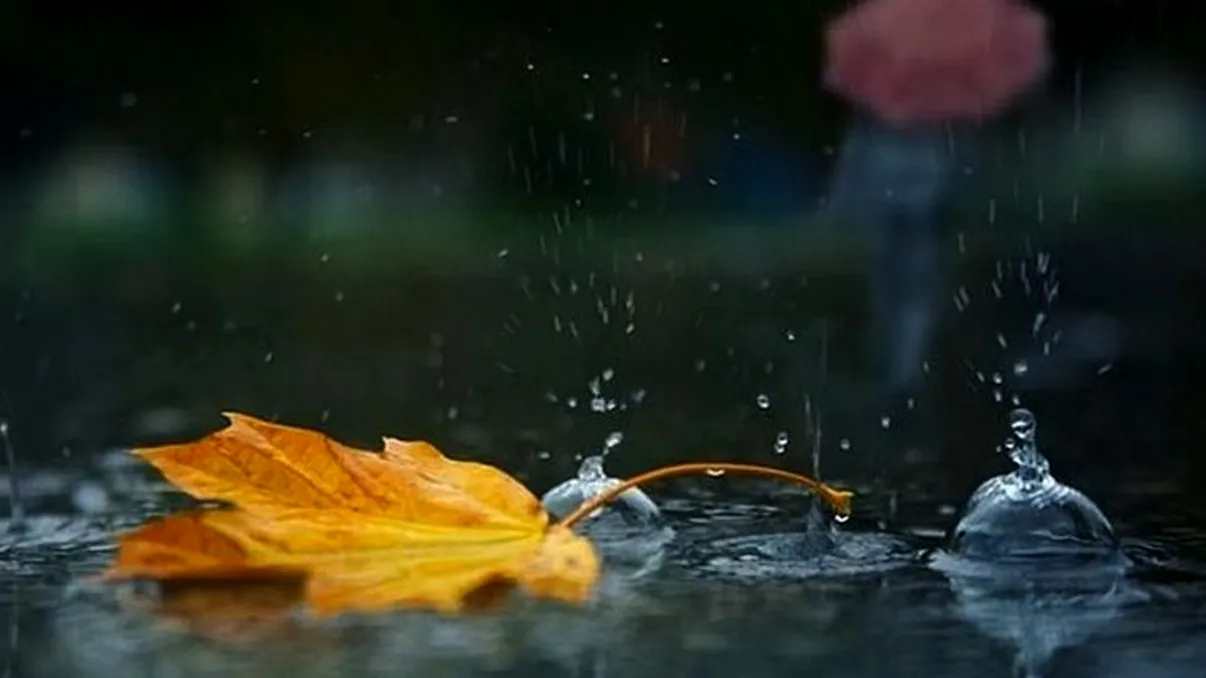 Vremea împarte țara în două. Cum se schimbă prognoza, pe regiuni, pentru următoarele zile