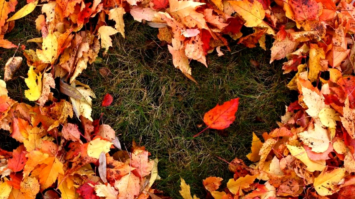 Prognoza meteo ANM pentru sâmbătă, 26 octombrie. Cum este vremea la început de weekend