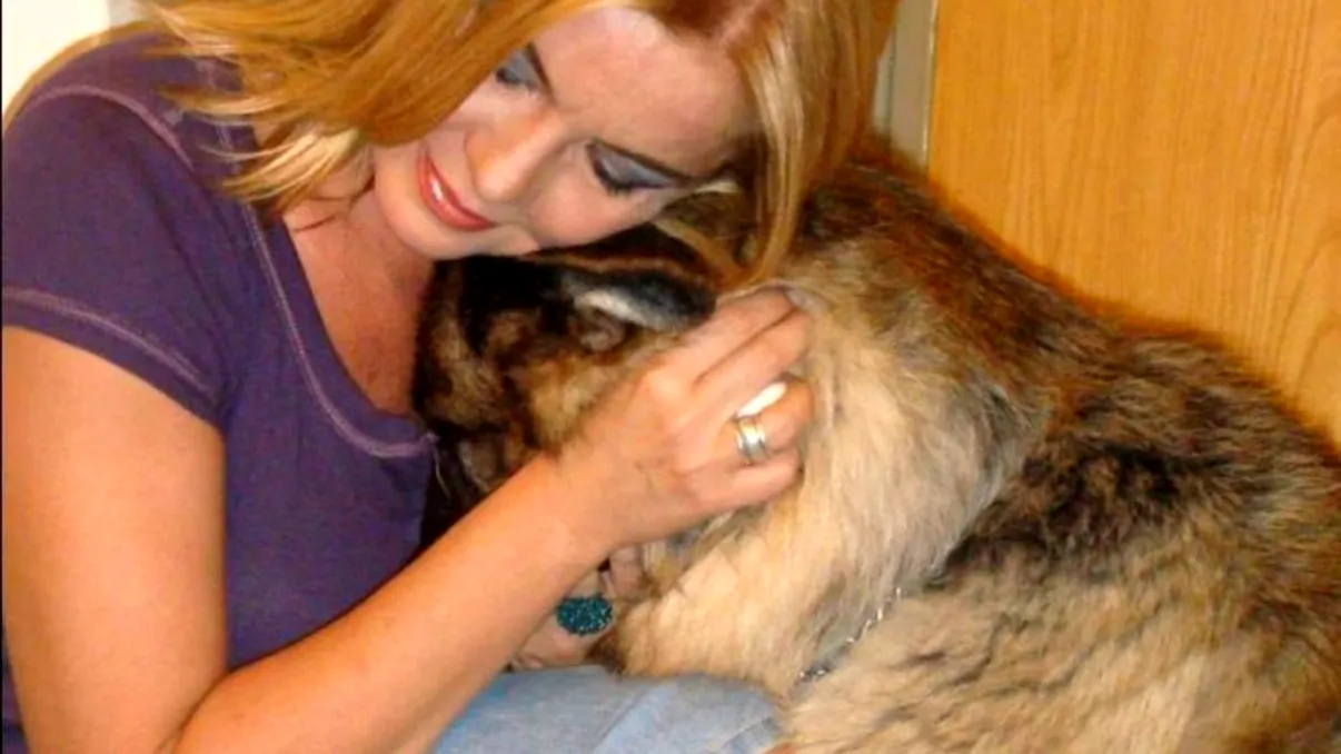 EXCLUSIV Cutremurător ce se întâmplă cu câinii Cristinei Țopescu. Familia jurnalistei nici nu vrea să audă de ei