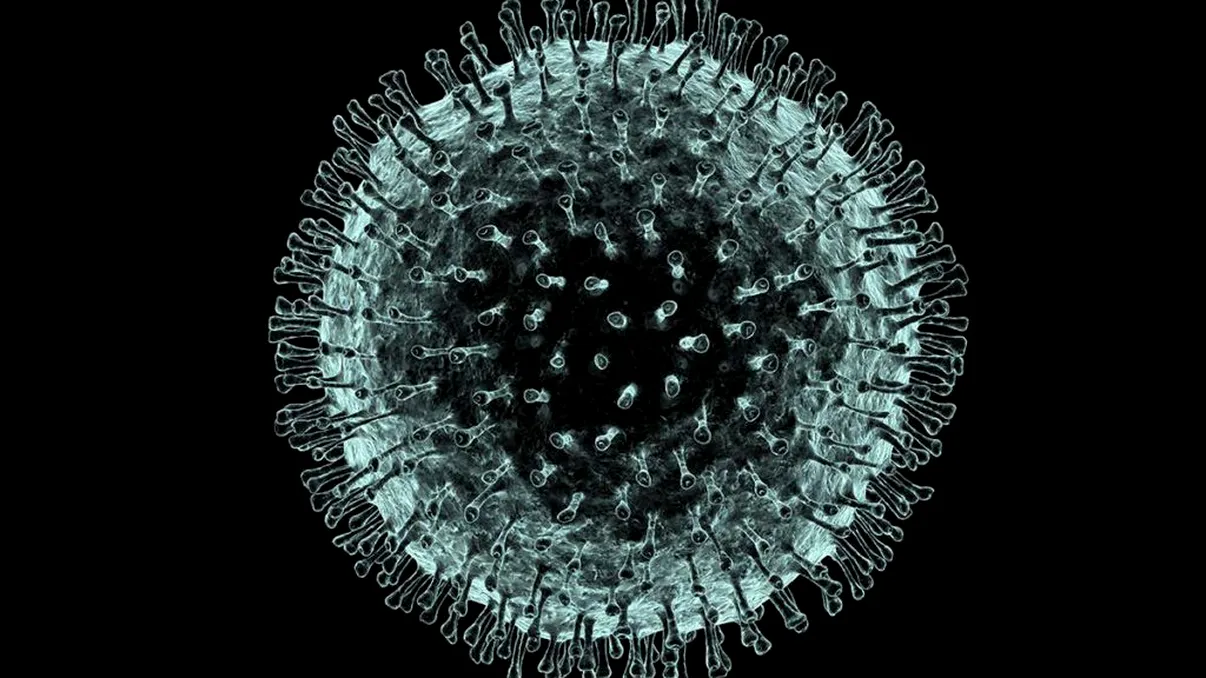 Cum s-a pregătit România pentru coronavirus. Ministrul Florin Cîțu a oferit detalii importante