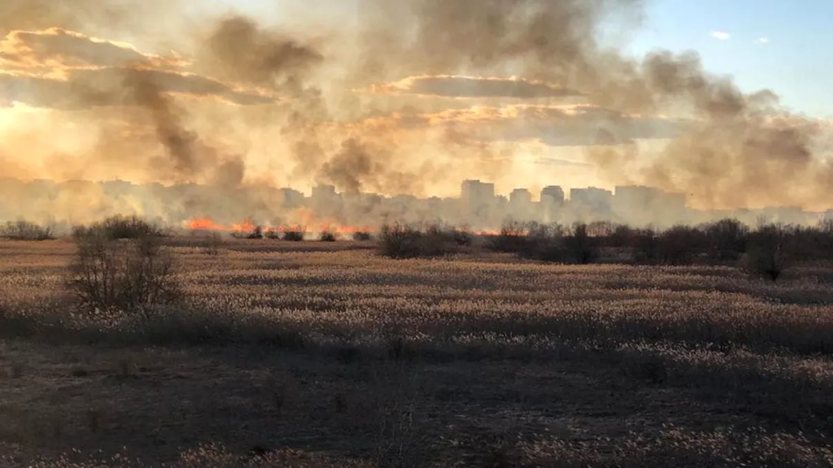 Incendiu de proporții în București. Zecii de mii de metri pătrați din Delta Văcărești sunt afectați până în acest moment