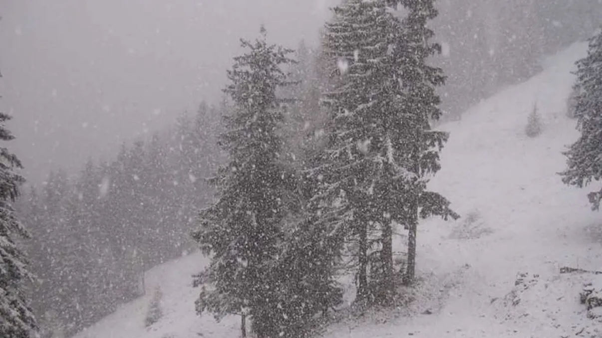 Cod roșu de viscol și ninsoare. Ce zone vor fi afectate de rafale de 120 km/oră și ce se întâmplă în Capitală