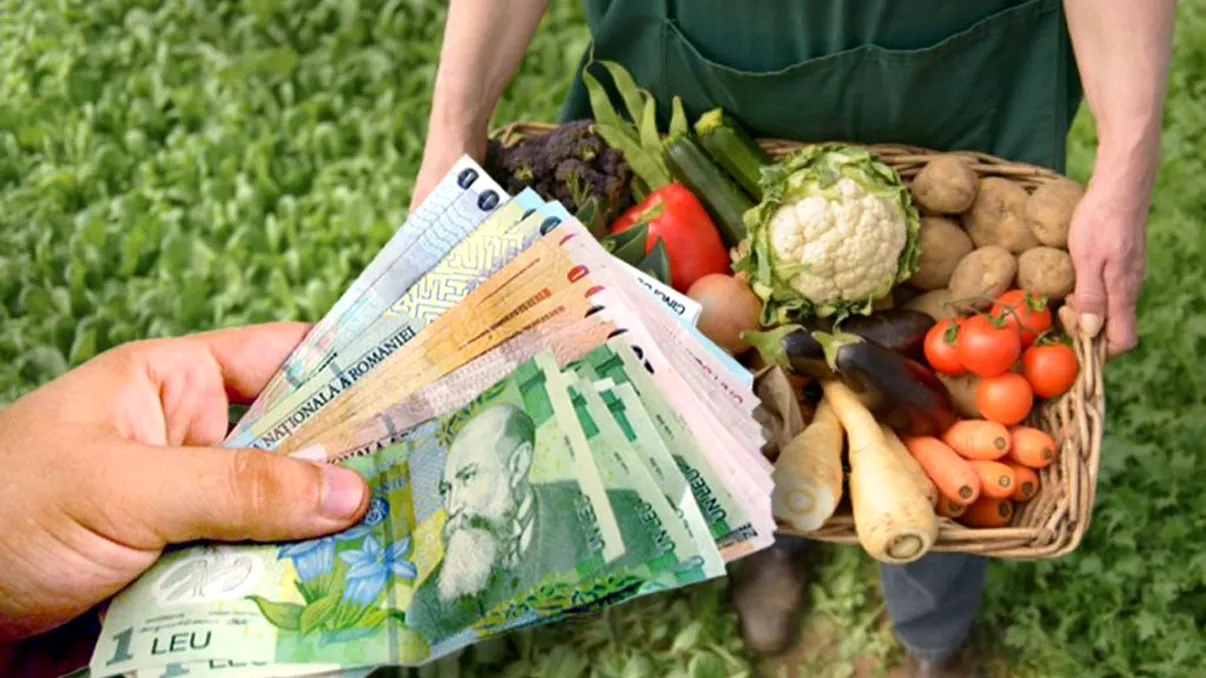 Veste bună pentru această categorie de agricultori. Cum pot primi 3000 de euro de la stat în această perioadă