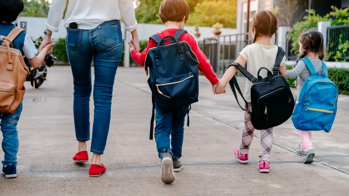 A fost adoptat proiectul 