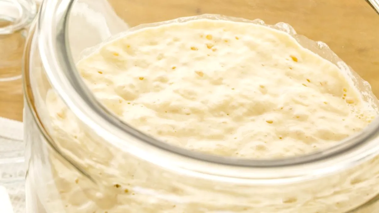 Cum se face maiaua pentru pâine. Tehnica tradițională străveche