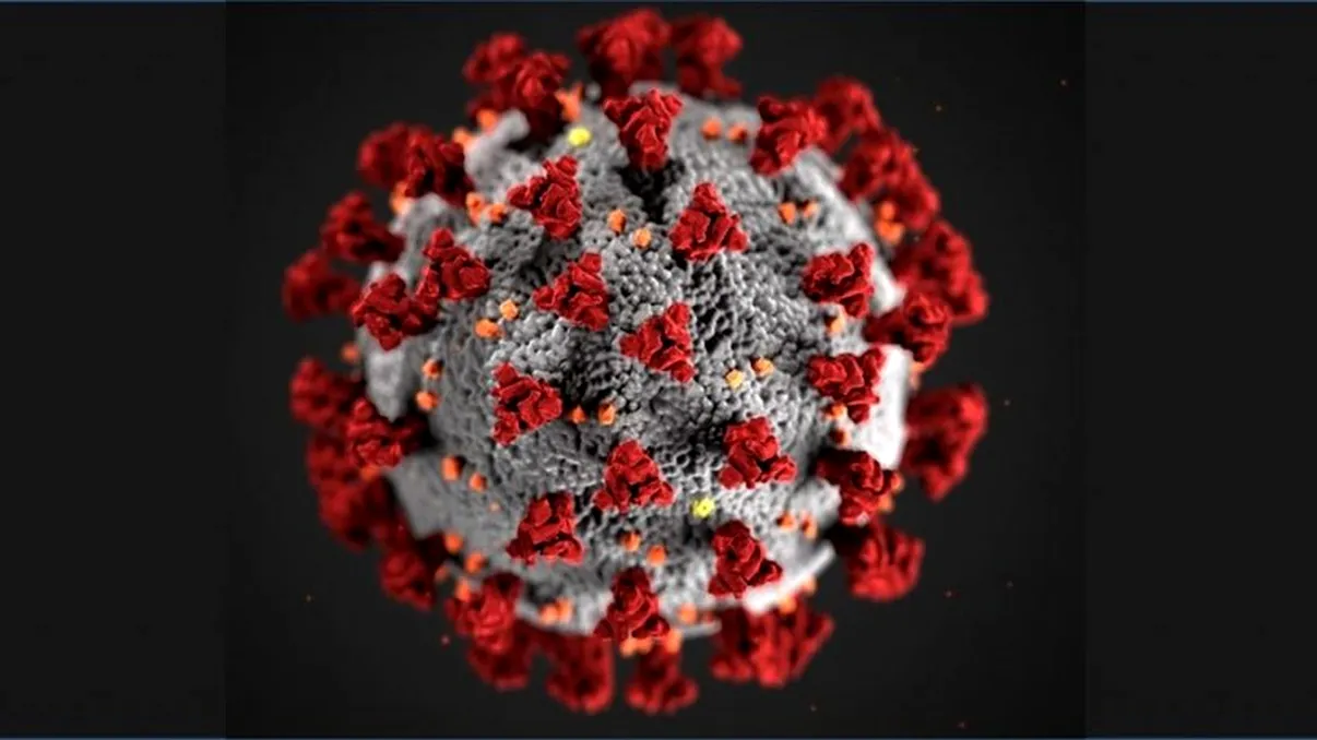 Ce organe afectează noul virus, în afară de plămâni. Situația este mai gravă decât se credea