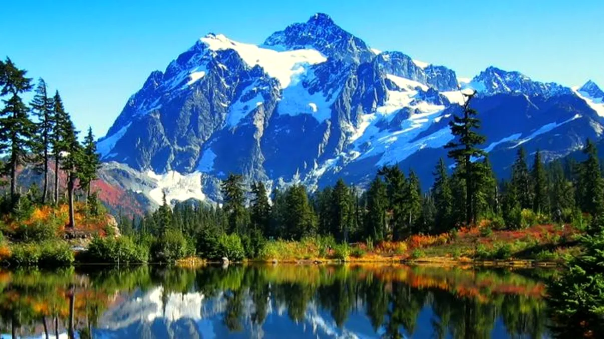 Apariția care i-a uluit pe oamenii de știință. Ce au putut filma într-un parc național