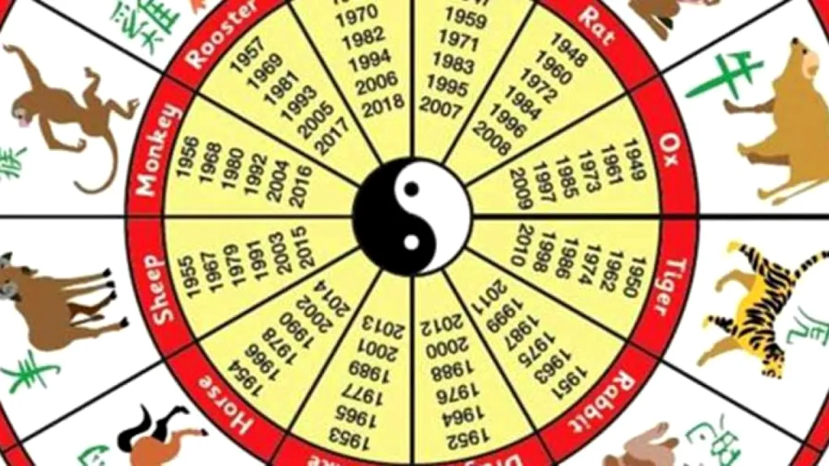 Horoscop chinezesc 19 mai 2020. Ce zodie își găsește un nou loc de muncă