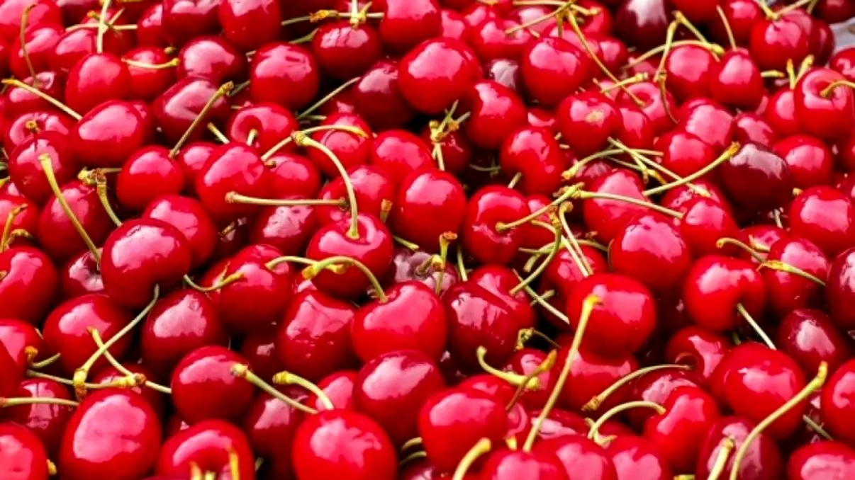 Cât a ajuns să coste, de fapt, un kilogram de cireșe. Cumpărătorii din București sunt revoltați