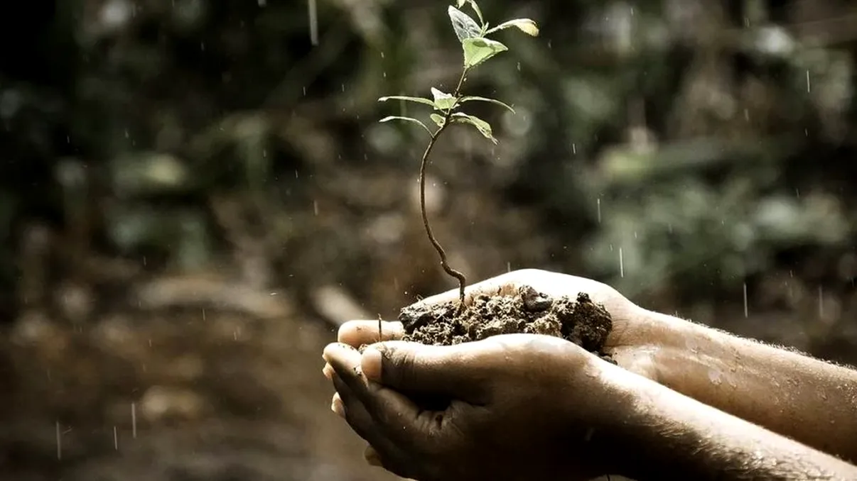 Cod galben în 33 de județe din țară. De când încep ploile. Bucureștiul intră sub atenționare