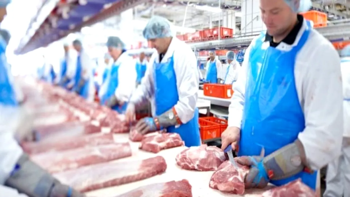 Se schimbă regulile. Ce se întâmplă, de fapt, cu mii de muncitori români din Germania