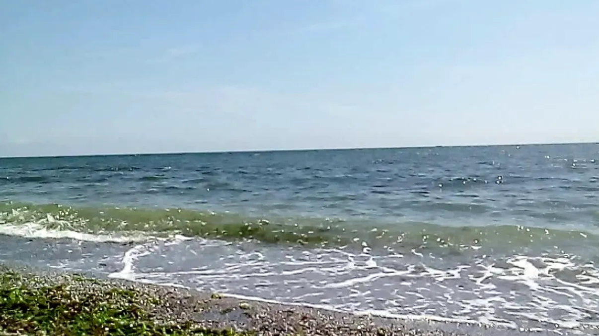 Fenomenul din Marea Neagră care i-a uluit pe cercetătorii români. Ce a apărut la malul mării