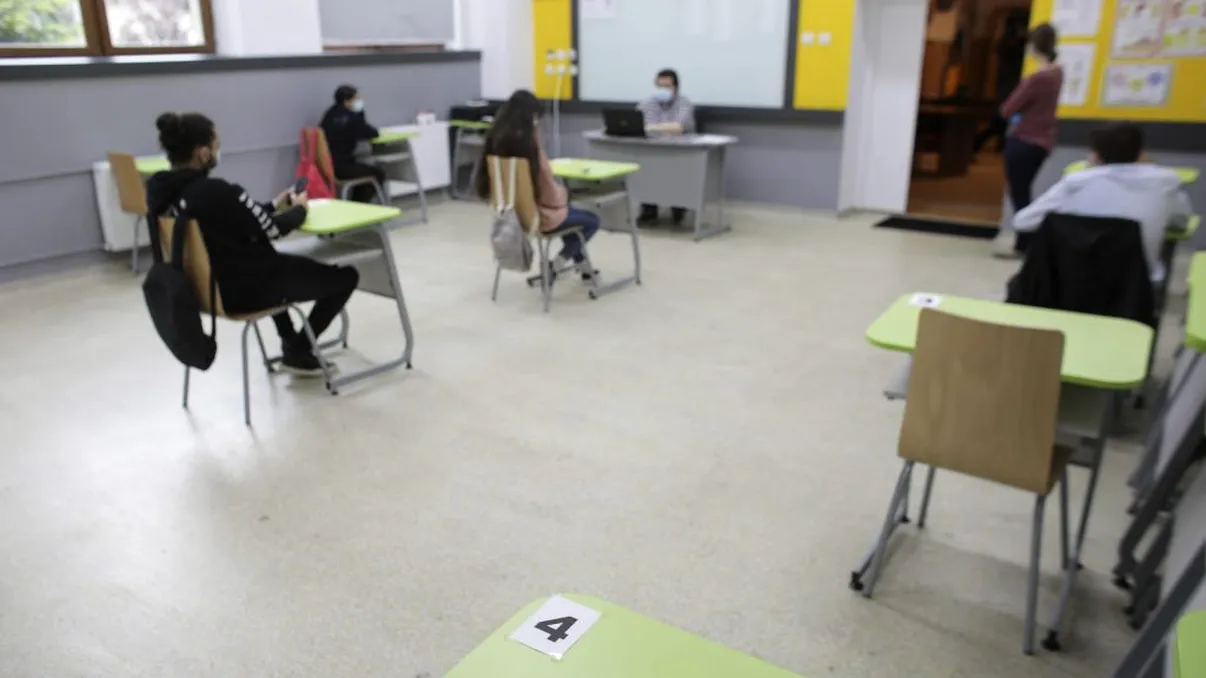 BAC 2020. Modele PDF de subiecte pentru proba scrisă la Limba și literatura maternă