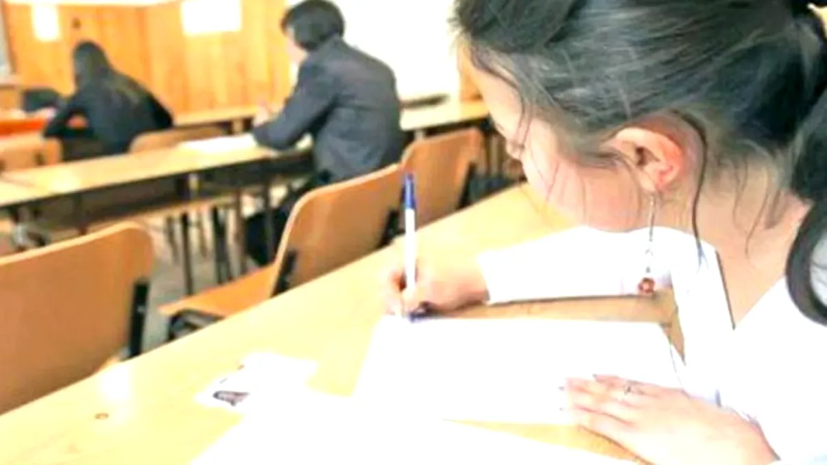 Evaluarea Națională 2020. Care sunt subiectele care au picat la Limba și literatura maternă