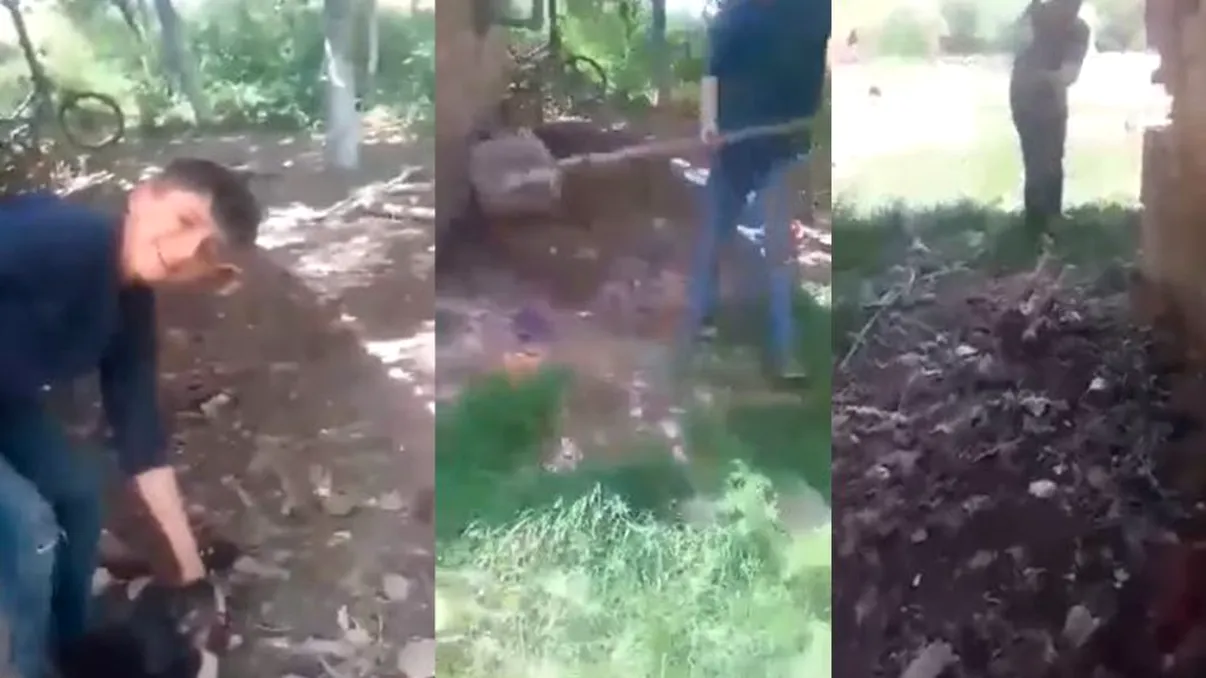 Imaginile care au înfricoșat milioane de români. Un copil omoară cu bestialitate un pui de câine fără apărare