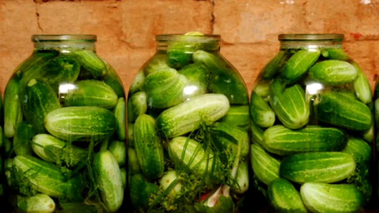 Cum faci castraveți murați vara. O rețetă cu un ingredient secret, de care toată lumea poate beneficia