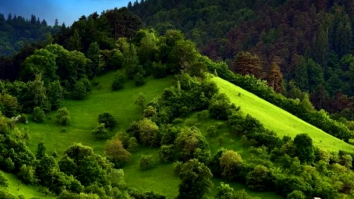 Locul sacru din România. Altarele certificate științific care atrag anual sute de mii de turiști