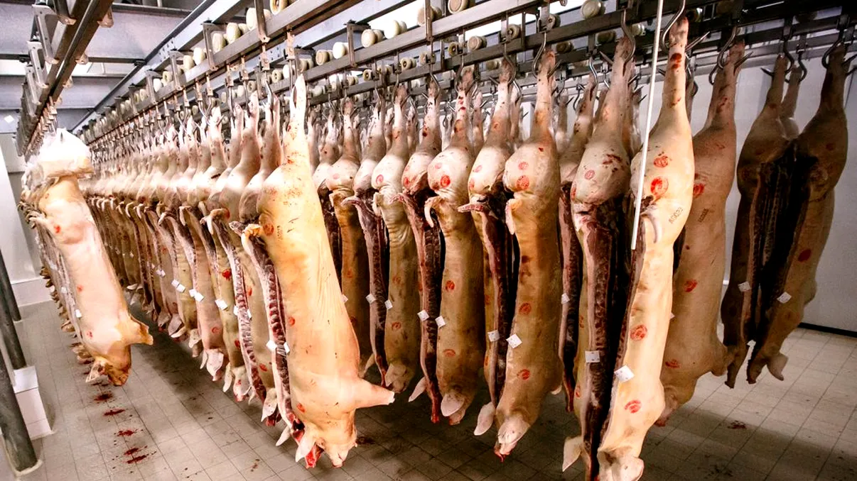 Cât costă, de fapt, carnea de porc la poarta fermei. Prețul din magazin este de patru ori mai mare