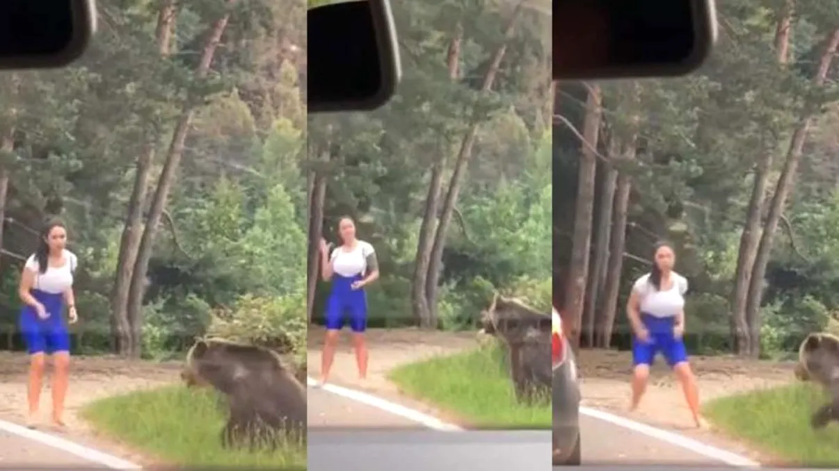 Video. Scene de groază pe Transfăgărășean. O tânără, la un pas să fie devorată de un urs cu care voia să facă un selfie