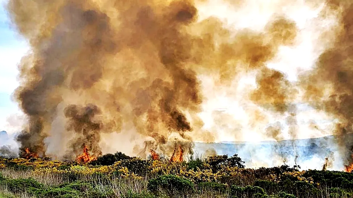 Avertisment RO-ALERT. Nor de fum toxic lângă București. Ce trebuie să facă locuitorii din zonă