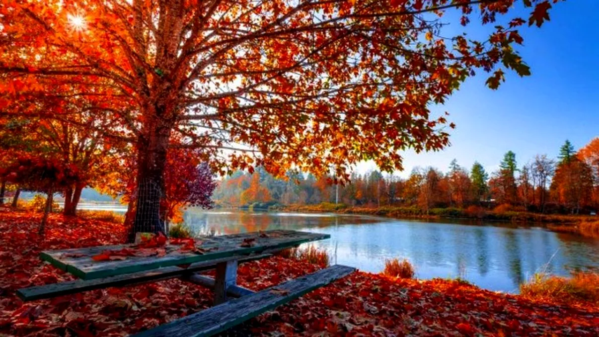 Meteo octombrie 2020. Temperaturi de vară în a doua lună de toamnă! Când vine frigul, de fapt